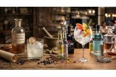 L’evolució del gin-tònic: de remei medicinal a icona de la cocteleria