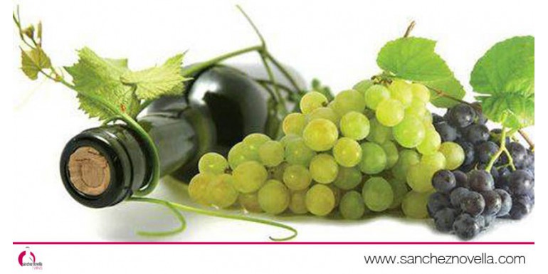 El vino ecológico, una tendencia también en hostelería