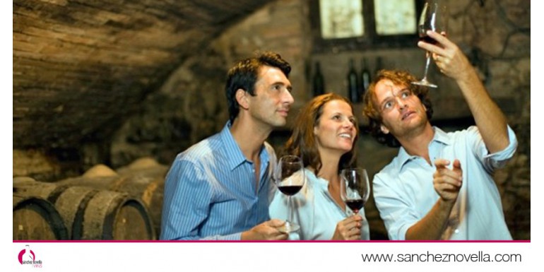 7 propuestas de enoturismo para amantes del vino