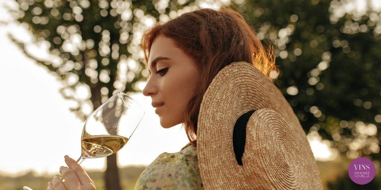 9 rutas imprescindibles por Cataluña para amantes del vino
