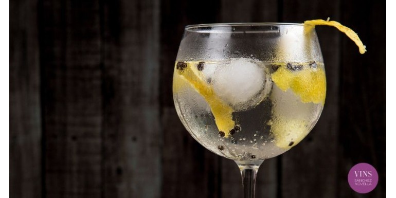 El Renacimiento del Gin Tonic: Un Clásico Reavivado en la Cultura de la Coctelería Moderna