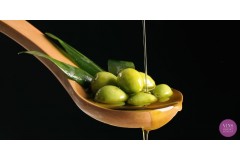 Sánchez Novella amplia la seva proposta gourmet: OLIVIAS by TAST i Conservas Arroyabe